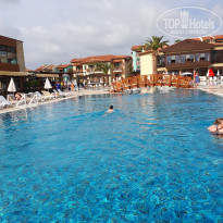 фото из отзыва ID 2747184