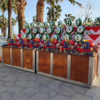 фото из отзыва ID 2747184