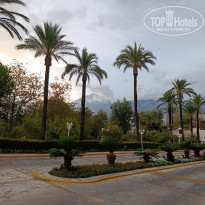 фото из отзыва ID 2742611