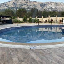 фото из отзыва ID 2747339