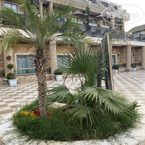 фото из отзыва ID 2747339