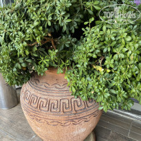 фото из отзыва ID 2747339