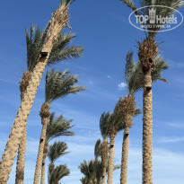 фото из отзыва ID 2747376