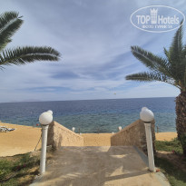 фото из отзыва ID 2747388