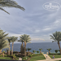 фото из отзыва ID 2747388