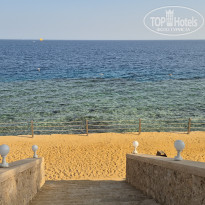 фото из отзыва ID 2747388