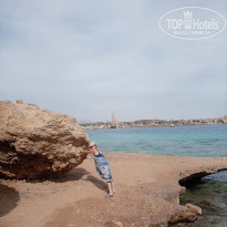 фото из отзыва ID 2747454