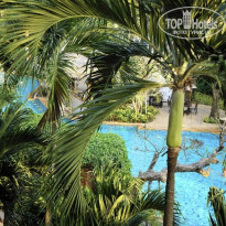 фото из отзыва ID 2747464