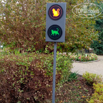 фото из отзыва ID 2747528