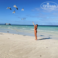 фото из отзыва ID 2747616