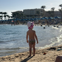 фото из отзыва ID 2747719