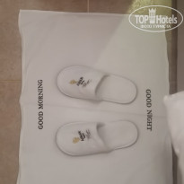 фото из отзыва ID 2747856