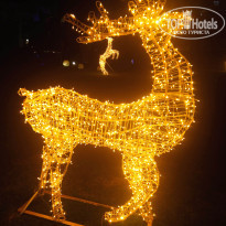 фото из отзыва ID 2747873