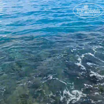 фото из отзыва ID 2746830