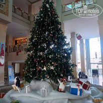 фото из отзыва ID 2746830