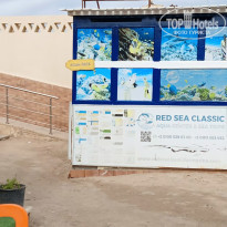 фото из отзыва ID 2746830