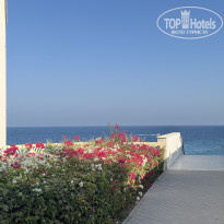 фото из отзыва ID 2748653