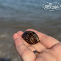 фото из отзыва ID 2748653