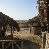 фото из отзыва ID 275947