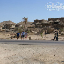 фото из отзыва ID 275947