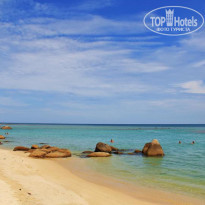 фото из отзыва ID 275644