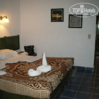 фото из отзыва ID 276758