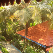 фото из отзыва ID 276879