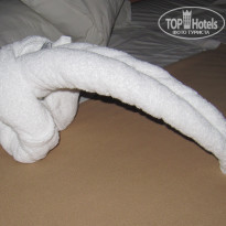 фото из отзыва ID 277677