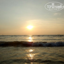 фото из отзыва ID 278627