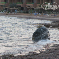 фото из отзыва ID 278753