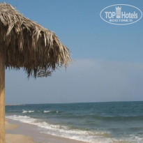 фото из отзыва ID 278736