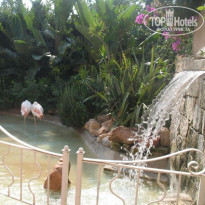 фото из отзыва ID 278736