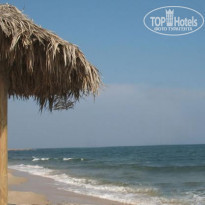 фото из отзыва ID 278539