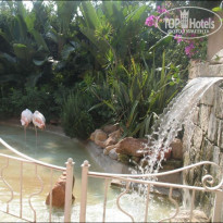 фото из отзыва ID 278539