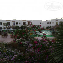 фото из отзыва ID 279074