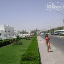 фото из отзыва ID 279074