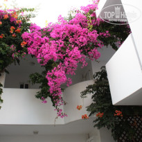 фото из отзыва ID 280332