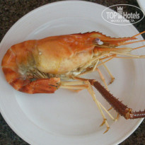 фото из отзыва ID 280610