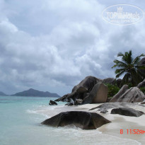 фото из отзыва ID 281335