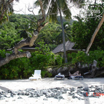 фото из отзыва ID 281335