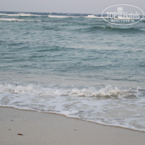 фото из отзыва ID 281453