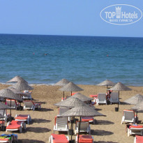 фото из отзыва ID 281740