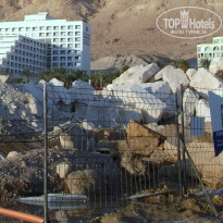 фото из отзыва ID 281925