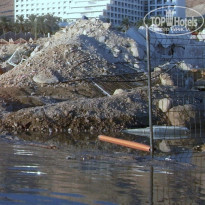 фото из отзыва ID 281925