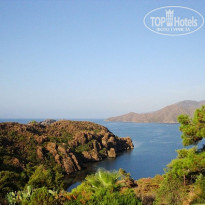 фото из отзыва ID 281468