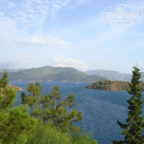 фото из отзыва ID 281468