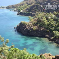 фото из отзыва ID 281468