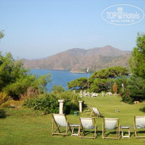 фото из отзыва ID 281468