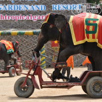 фото из отзыва ID 282224