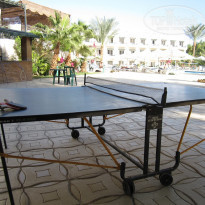 фото из отзыва ID 282790